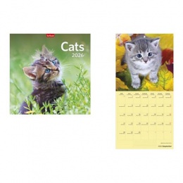 Naptár, fali, TOPTIMER, "Cats"